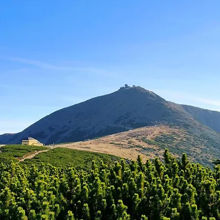 فندق Greno & كارباش